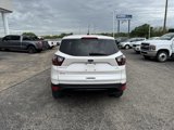 Used 2017 Ford Escape SE w/ SE Sport Appearance Package image 6