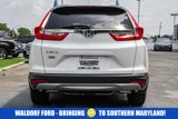 Used 2019 Honda CR-V EX-L image 5