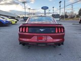 Used 2016 Ford Mustang Premium w/ Ecoboost Performance Package image 5