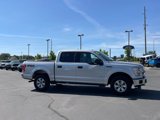 Used 2015 Ford F150 XLT w/ Equipment Group 301A Mid image 6