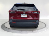 Used 2020 Toyota RAV4 XLE Premium image 4