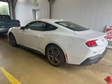 Used 2024 Ford Mustang Coupe image 2