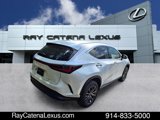 Certified 2023 Lexus NX 350 AWD w/ Premium Package image 3