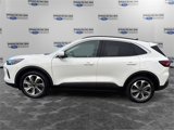 Used 2024 Ford Escape Platinum image 2
