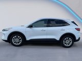 Used 2022 Ford Escape SE image 6