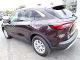 Used 2023 Ford Escape Active image 3