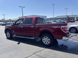 Used 2014 Ford F150 XLT w/ Equipment Group 302A Luxury image 4