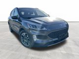 Used 2020 Ford Escape SEL image 2