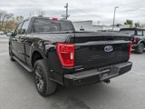 Used 2021 Ford F150 XLT w/ Equipment Group 302A High image 4
