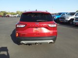 Used 2020 Ford Escape Titanium image 5