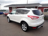 Used 2014 Ford Escape SE w/ Equipment Group 201A image 4