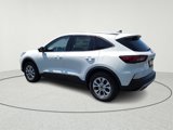 New 2025 Ford Escape Active w/ Cold Weather Package image 6