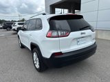 Used 2020 Jeep Cherokee Latitude image 3