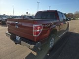 Used 2014 Ford F150 XLT w/ Equipment Group 302A Luxury image 6
