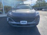 Used 2021 Ford Escape SEL image 2