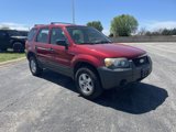 Used 2007 Ford Escape XLS image 4