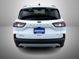 Used 2022 Ford Escape SE w/ Cold Weather Package image 6
