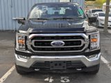 Used 2021 Ford F150 XLT w/ Equipment Group 302A High image 2