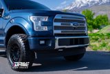 Used 2017 Ford F150 Platinum w/ Equipment Group 701A Luxury image 3
