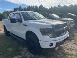 Used 2013 Ford F150 FX4 w/ Luxury Equipment Group image 3