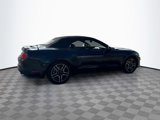 Used 2019 Ford Mustang Premium image 5