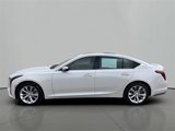 Certified 2025 Cadillac CT5 Premium Luxury w/ Platinum Package image 2