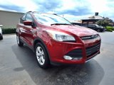 Used 2014 Ford Escape SE w/ Equipment Group 201A image 3