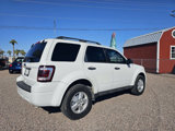 Used 2011 Ford Escape XLT w/ 203A Rapid Spec Order Code image 2
