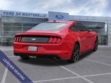 Used 2023 Ford Mustang Premium image 2