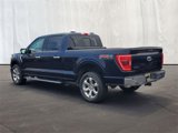 Used 2021 Ford F150 XLT w/ Equipment Group 302A High image 3