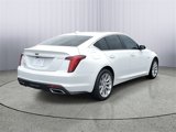 Certified 2024 Cadillac CT5 Luxury w/ Sun And Sound Package image 3