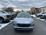 Used 2022 Ford Escape SE w/ Convenience Package image 2