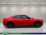 Used 2021 Dodge Charger SXT w/ Blacktop Package image 2