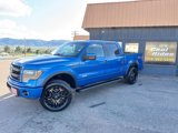 Used 2014 Ford F150 FX4 w/ Equipment Group 402A Luxury image 2