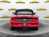 Certified 2022 Ford Mustang Premium image 4