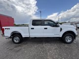 Used 2022 Ford F350 XL w/ STX Appearance Package image 6