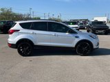 Used 2019 Ford Escape SE image 2