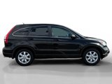 Used 2009 Honda CR-V EX-L image 6
