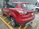 Used 2017 Ford Escape SE w/ Equipment Group 201A image 6