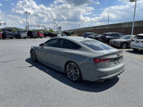 Used 2019 Audi S5 Premium Plus w/ Premium Plus image 3