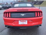 Used 2022 Ford Mustang Premium image 6