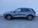 Used 2024 Ford Escape SE image 3