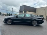 Used 2024 Hyundai Sonata SEL image 2