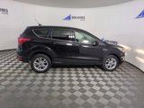 Used 2019 Ford Escape SE image 6