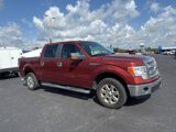 Used 2014 Ford F150 XLT w/ XLT Chrome Package image 3
