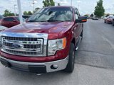 Used 2013 Ford F150 XLT w/ Luxury Equipment Group image 4