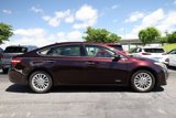 Used 2013 Toyota Avalon XLE Premium image 4