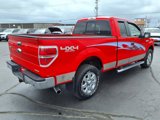 Used 2014 Ford F150 XLT w/ Equipment Group 302A Luxury image 4