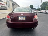 Used 2010 Honda Accord EX-L image 5