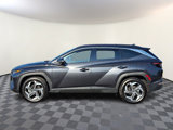 Used 2023 Hyundai Tucson Limited image 2